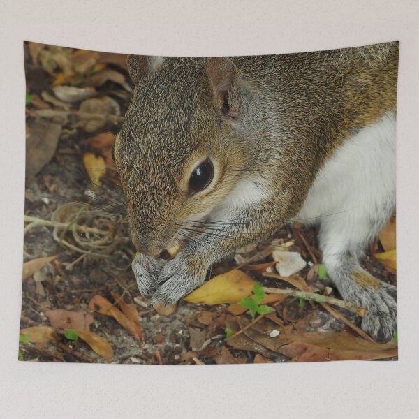 Item preview, Cute Squirrel #0053 designed and sold by Jeffrey Mask.