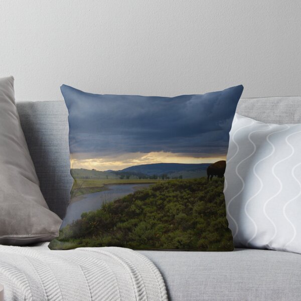 Item preview, Yellowstone National Park designed and sold by Chaney Swiney.