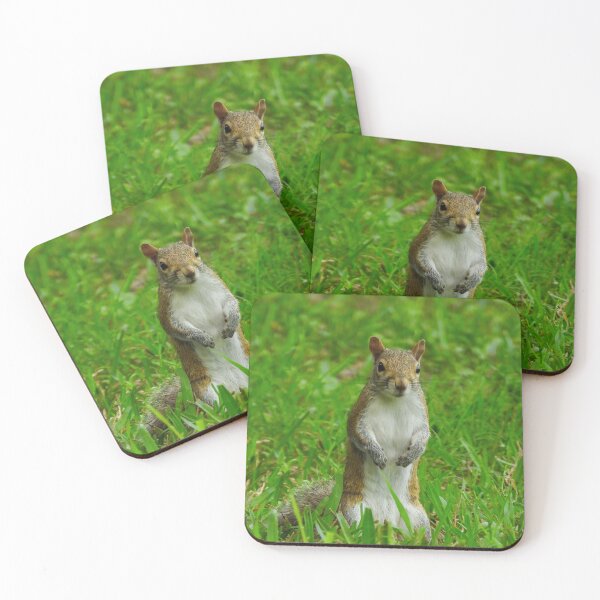 Item preview, Cute Squirrel #0054 designed and sold by Jeffrey Mask.