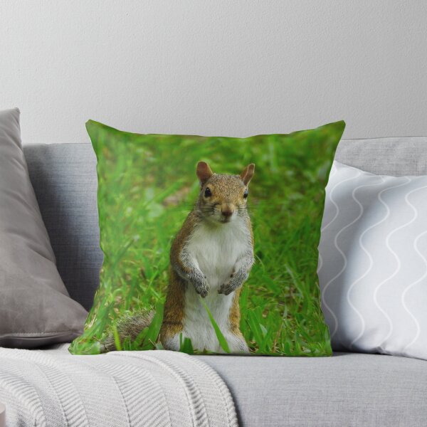 Item preview, Cute Squirrel #0054 designed and sold by Jeffrey Mask.