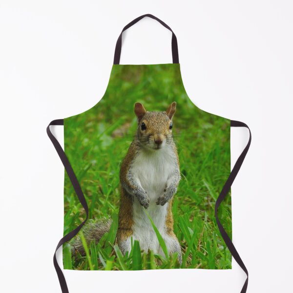 Item preview, Cute Squirrel #0054 designed and sold by Jeffrey Mask.