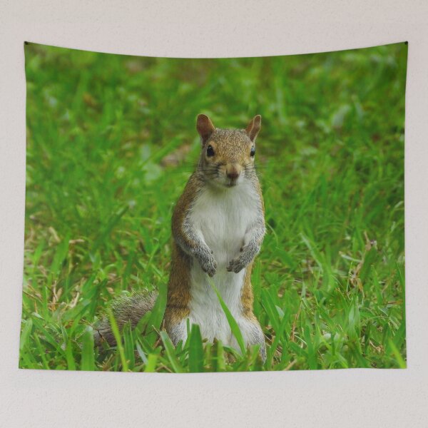 Item preview, Cute Squirrel #0054 designed and sold by Jeffrey Mask.