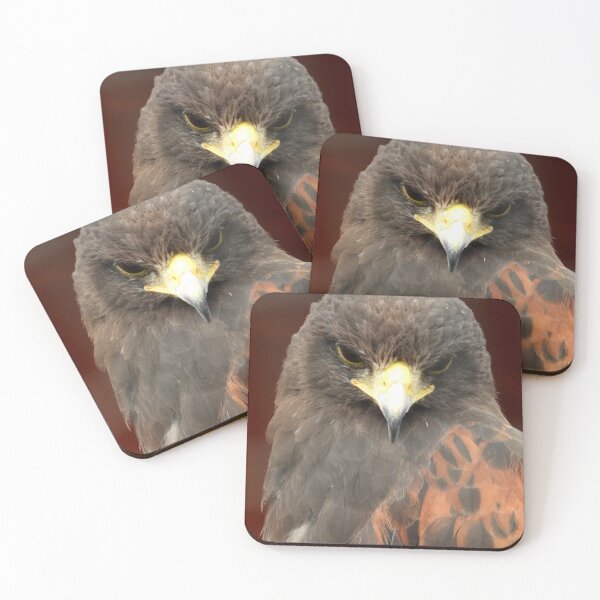 Item preview, The Harris Hawk Stare designed and sold by PhotosBySusanne.