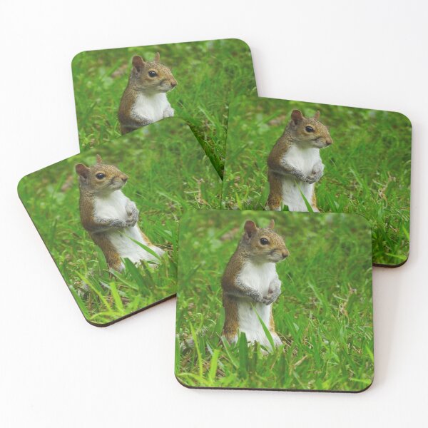 Item preview, Cute Squirrel #0055 designed and sold by Jeffrey Mask.