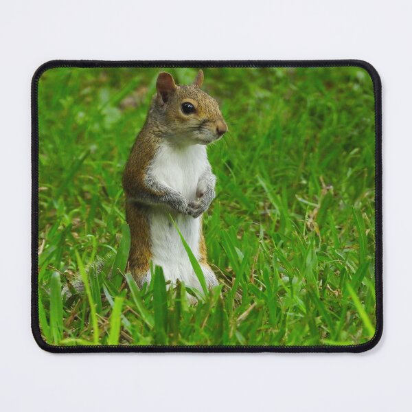 Item preview, Cute Squirrel #0055 designed and sold by Jeffrey Mask.