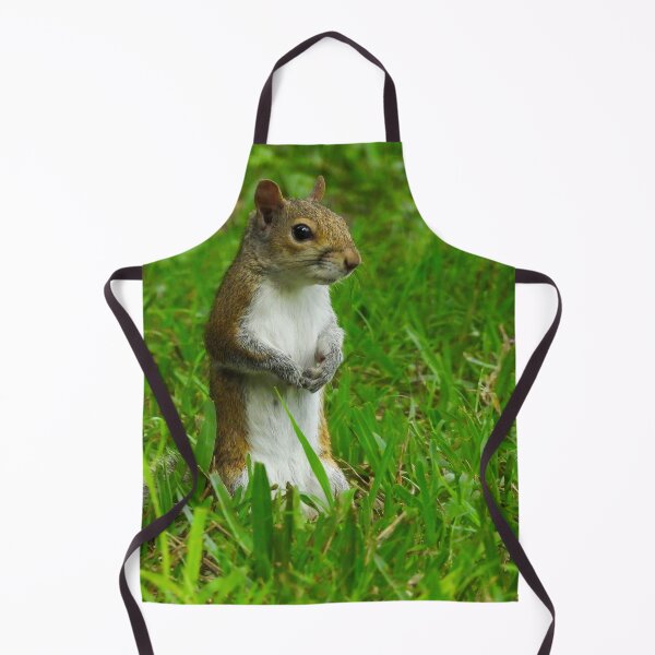 Item preview, Cute Squirrel #0055 designed and sold by Jeffrey Mask.