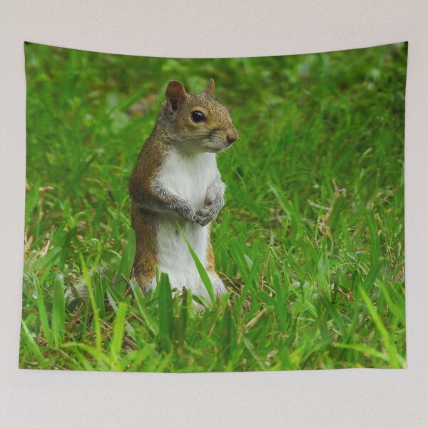 Item preview, Cute Squirrel #0055 designed and sold by Jeffrey Mask.