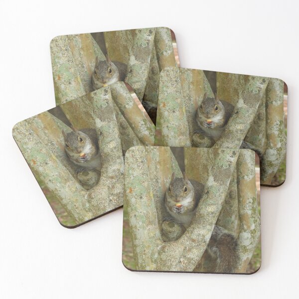 Item preview, Cute Squirrel #0056 designed and sold by Jeffrey Mask.