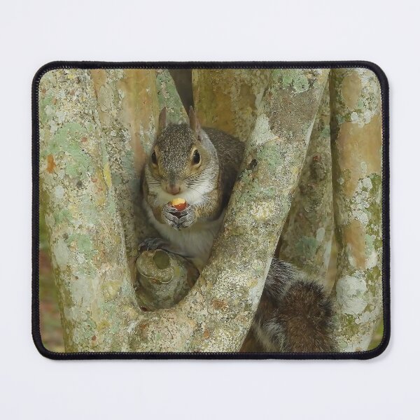 Item preview, Cute Squirrel #0056 designed and sold by Jeffrey Mask.
