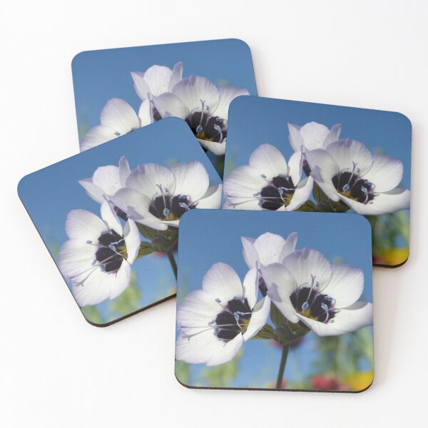 Item preview, Bird's-eye Gilia  designed and sold by Barrie Woodward.