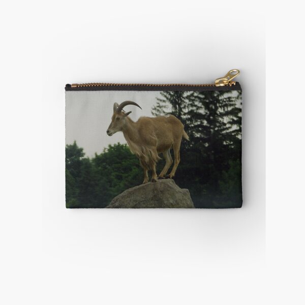 Item preview, Standing Proud- The Barbary Sheep designed and sold by PhotosBySusanne.