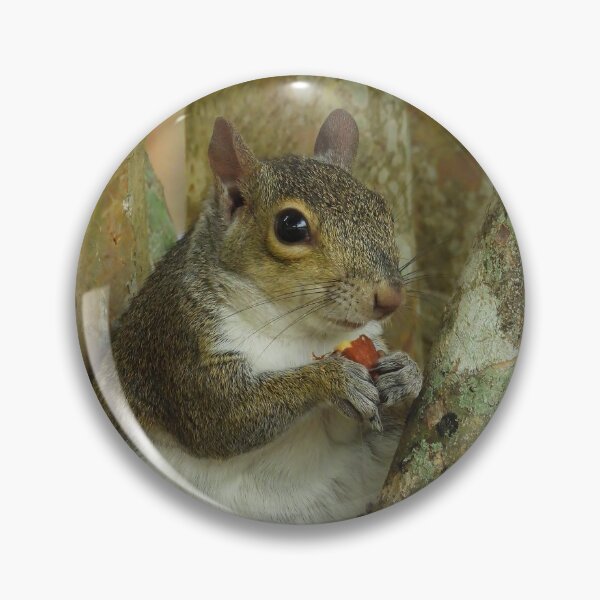 Item preview, Cute Squirrel #0057 designed and sold by Jeffrey Mask.