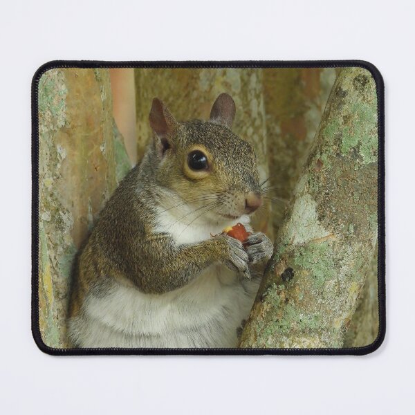 Item preview, Cute Squirrel #0057 designed and sold by Jeffrey Mask.