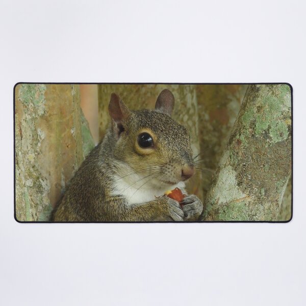 Item preview, Cute Squirrel #0057 designed and sold by Jeffrey Mask.
