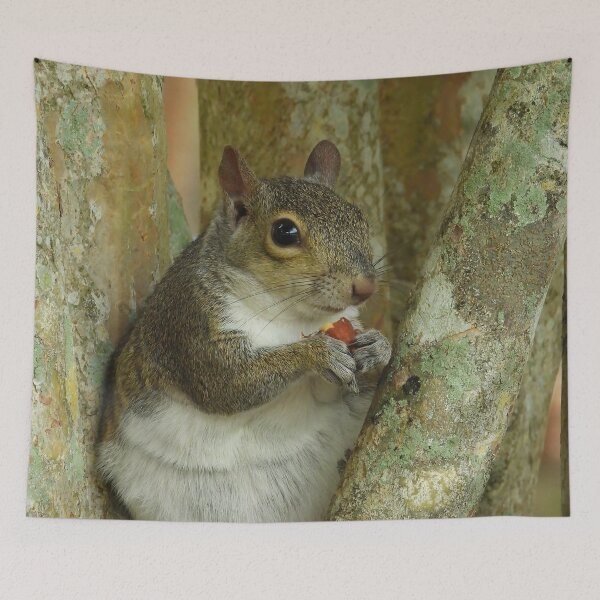 Item preview, Cute Squirrel #0057 designed and sold by Jeffrey Mask.