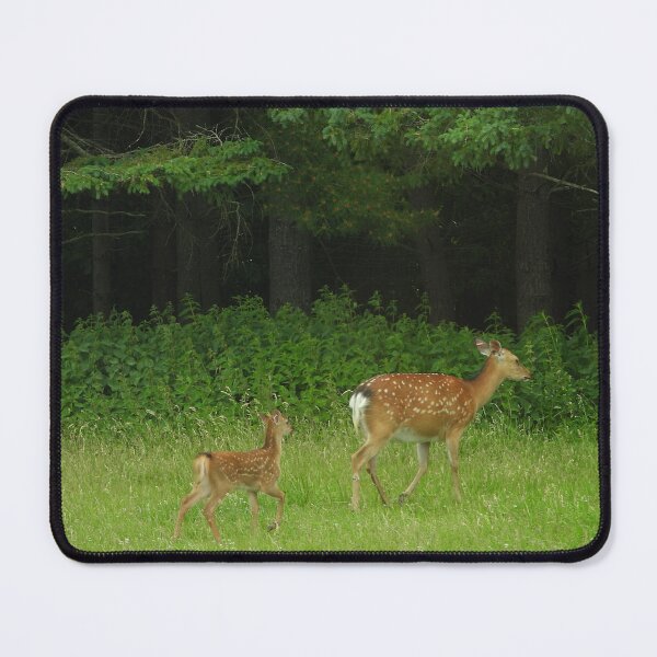 Item preview, Mother and Fawn designed and sold by PhotosBySusanne.