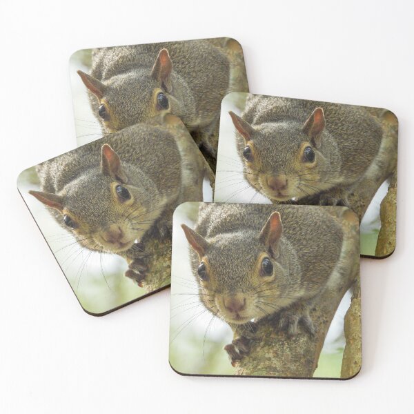 Item preview, Cute Squirrel #0058 designed and sold by Jeffrey Mask.