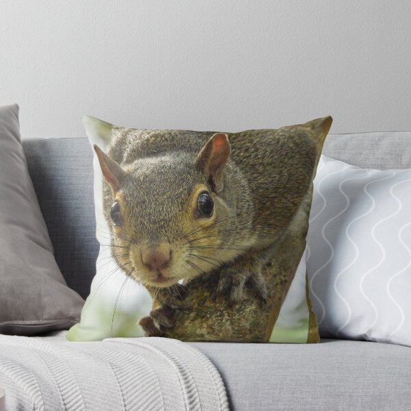 Item preview, Cute Squirrel #0058 designed and sold by Jeffrey Mask.