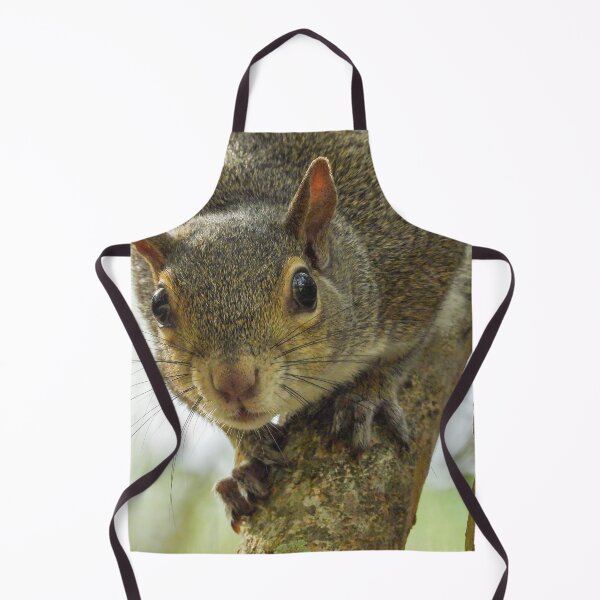 Item preview, Cute Squirrel #0058 designed and sold by Jeffrey Mask.