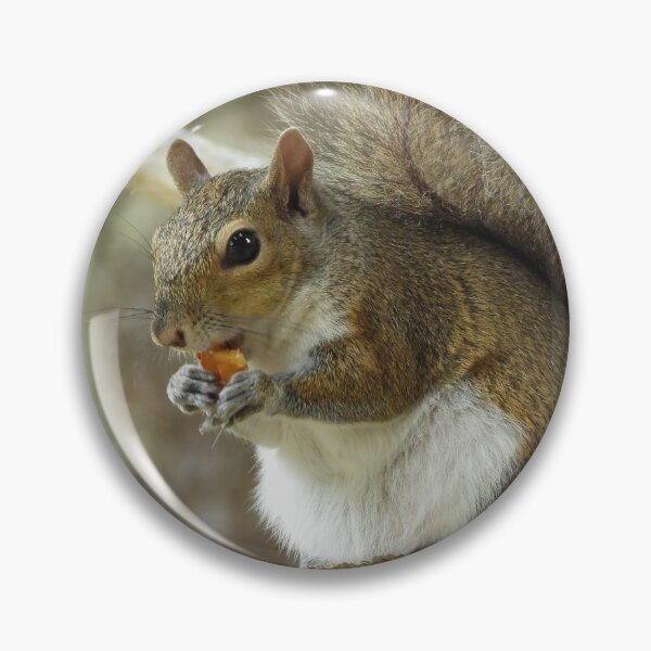 Item preview, Cute Squirrel #0059 designed and sold by Jeffrey Mask.