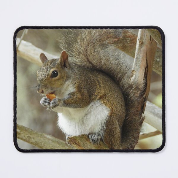 Item preview, Cute Squirrel #0059 designed and sold by Jeffrey Mask.