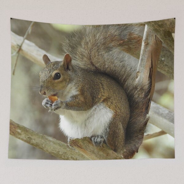 Item preview, Cute Squirrel #0059 designed and sold by Jeffrey Mask.