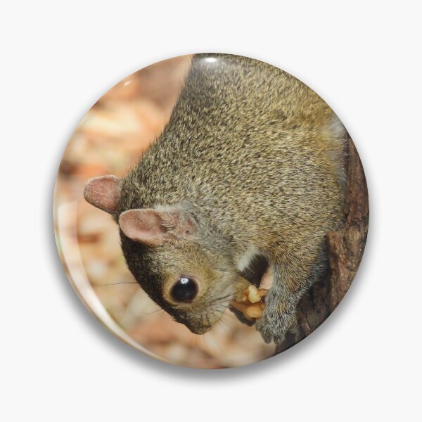 Item preview, Cute Squirrel #0060 designed and sold by Jeffrey Mask.