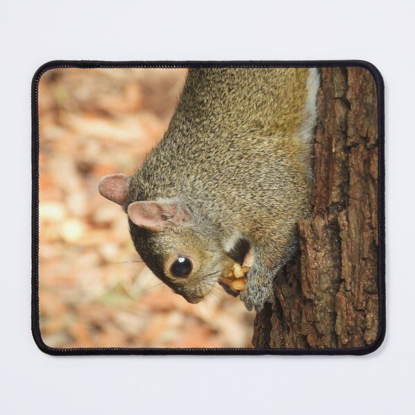 Item preview, Cute Squirrel #0060 designed and sold by Jeffrey Mask.