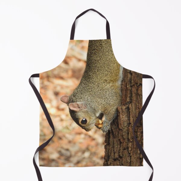 Item preview, Cute Squirrel #0060 designed and sold by Jeffrey Mask.