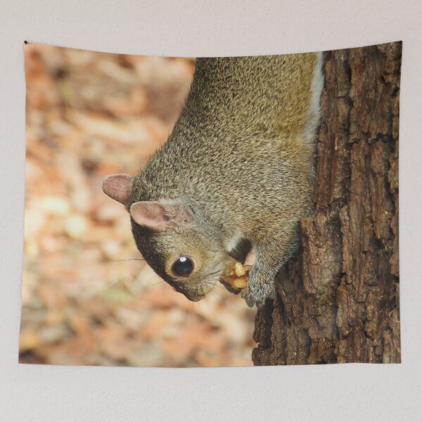 Item preview, Cute Squirrel #0060 designed and sold by Jeffrey Mask.