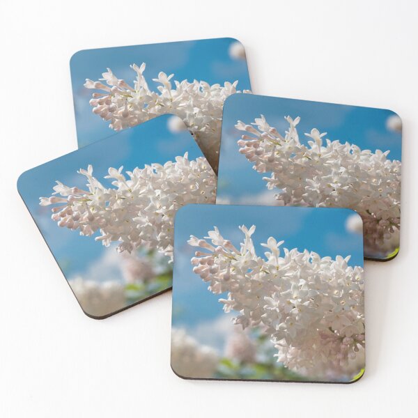 Item preview, White Lilacs and Blue Skies designed and sold by mahnkephotos.