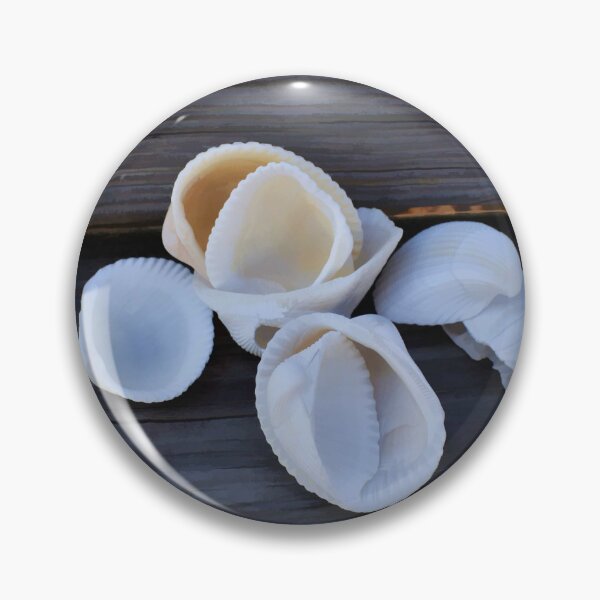 Item preview, Just a Few Shells designed and sold by bertsworks300.