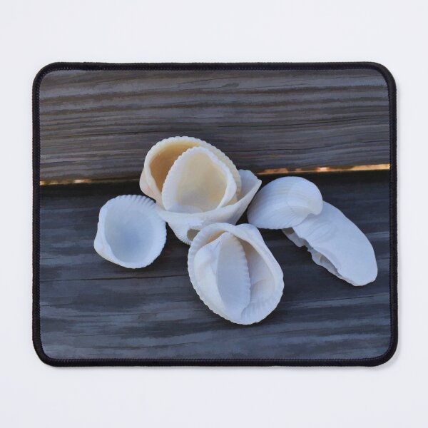 Item preview, Just a Few Shells designed and sold by bertsworks300.