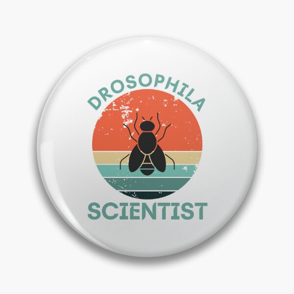 Item preview, Drosophila, fruit fly scientist, biology, vintage designed and sold by TheCellDesigns.