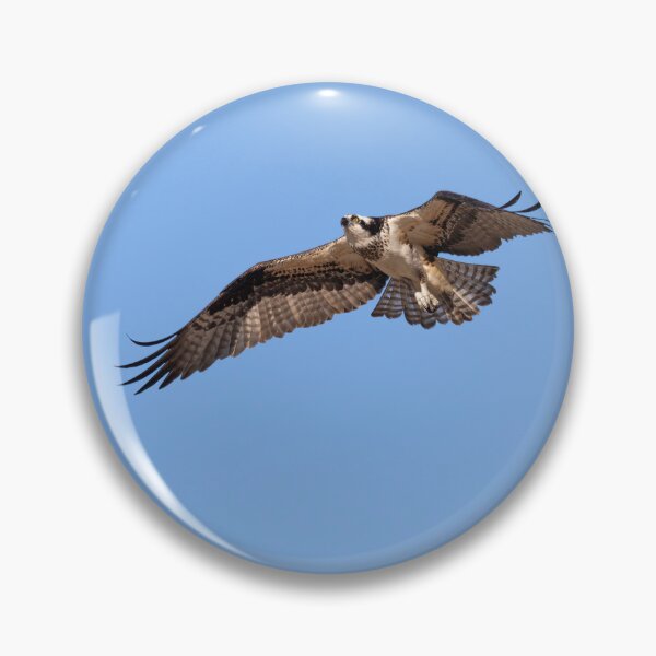 Item preview, Osprey 2022-1 designed and sold by Thomasyoung.