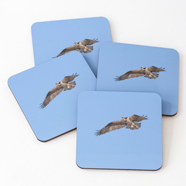 Item preview, Osprey 2022-1 designed and sold by Thomasyoung.