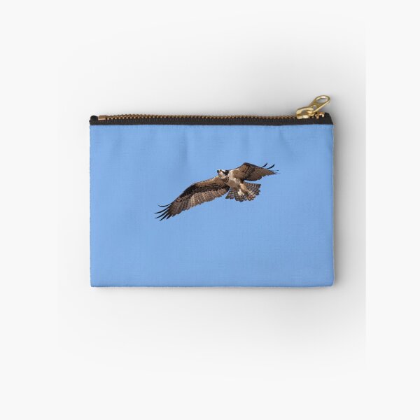 Item preview, Osprey 2022-1 designed and sold by Thomasyoung.