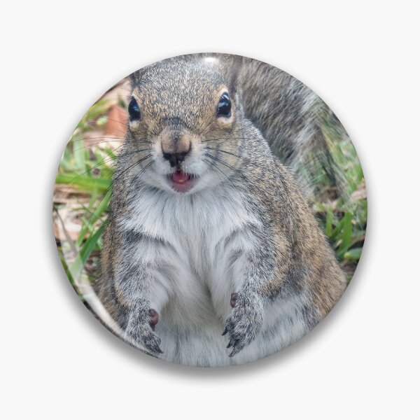 Item preview, Cute Squirrel #0061 designed and sold by Jeffrey Mask.