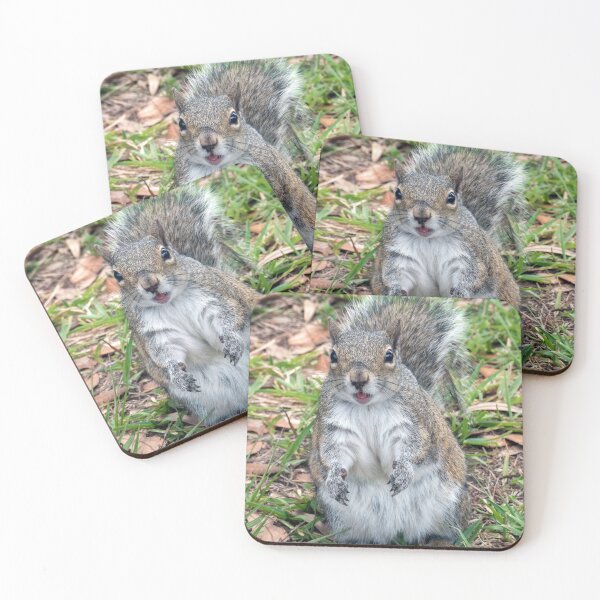 Item preview, Cute Squirrel #0061 designed and sold by Jeffrey Mask.