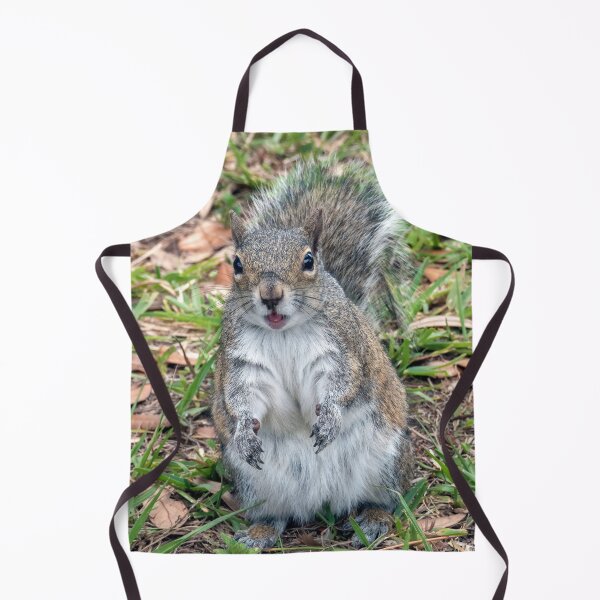 Item preview, Cute Squirrel #0061 designed and sold by Jeffrey Mask.
