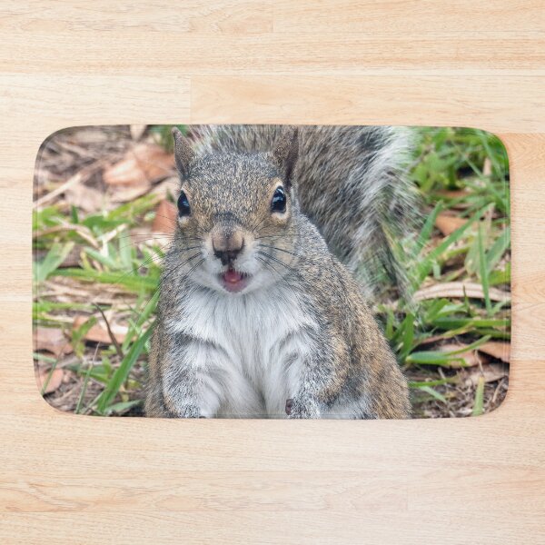 Item preview, Cute Squirrel #0061 designed and sold by Jeffrey Mask.