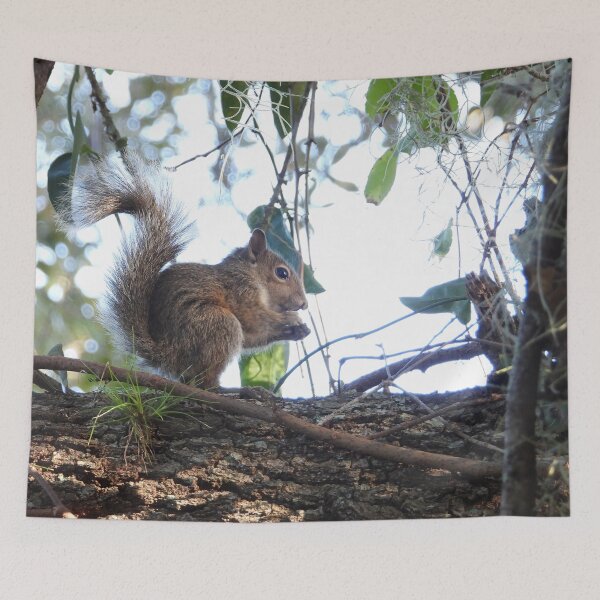 Item preview, Cute Squirrel #0062 designed and sold by Jeffrey Mask.