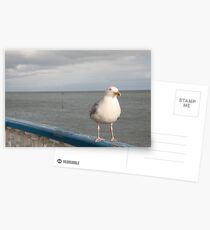 SEAGULL. Postcards