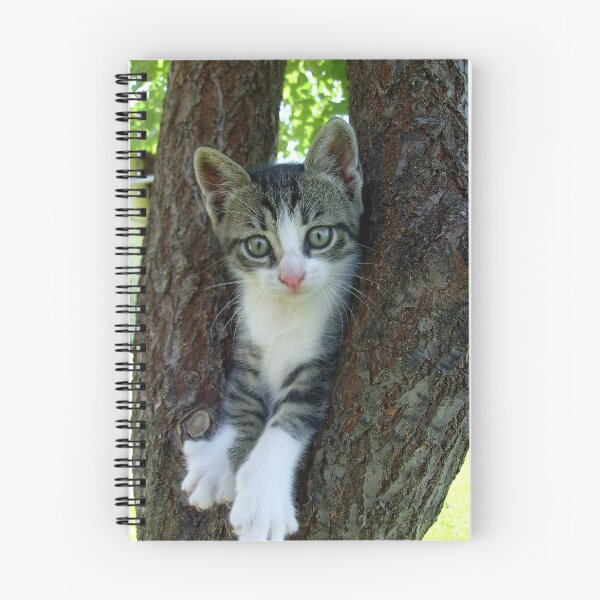 Item preview, In a tree designed and sold by Ana Belaj.