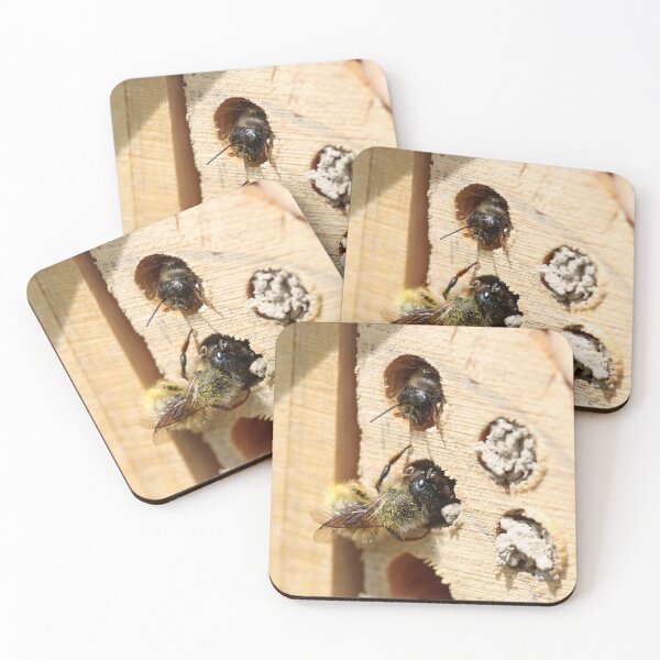 Item preview, Nesting mason bees designed and sold by GreyFeatherPhot.