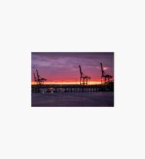 Fremantle Giraffes Art Board