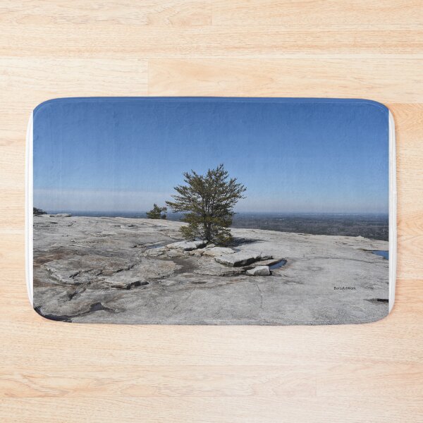 Item preview, On Top of Stone Mountain designed and sold by bertsworks300.