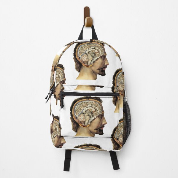 Item preview, Brain and Cerebellum Cross-Section  designed and sold by amuseXpress.