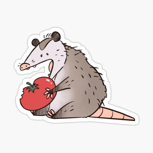 Item preview, Opossum chomping tomato designed and sold by PigeonWithPaint.