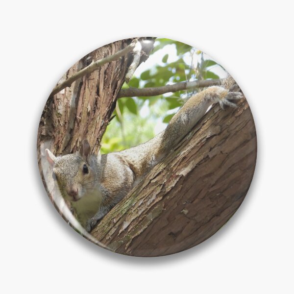 Item preview, Cute Squirrel #0063 designed and sold by Jeffrey Mask.